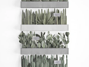 cactus set wall decor vertical garden 43 3D Model