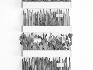 cactus set wall decor vertical garden 43 3D Model