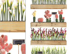 cactus set wall decor vertical garden 44 3D 모델