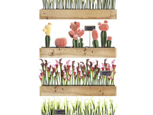 conjunto de cactos decora&ccedil;&atilde;o de parede jardim vertical 44 Modelo 3D