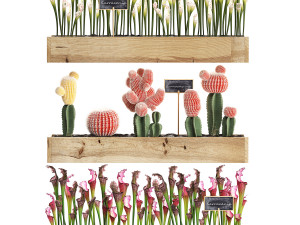 cactus set wall decor vertical garden 44 3D Модель