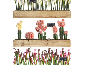 conjunto de cactos decora&ccedil;&atilde;o de parede jardim vertical 44 Modelo 3D