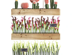conjunto de cactos decora&ccedil;&atilde;o de parede jardim vertical 44 Modelo 3D