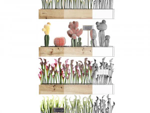 conjunto de cactos decora&ccedil;&atilde;o de parede jardim vertical 44 Modelo 3D