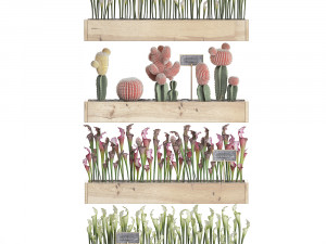 cactus set wall decor vertical garden 44 3D Модель