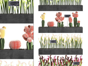 cactus set wall decor vertical garden 45 3D Model