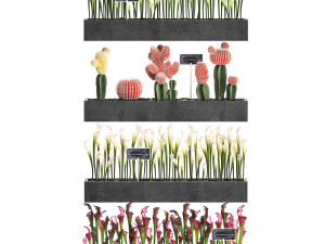 cactus set wall decor vertical garden 45 Modelo 3D