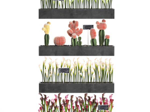 cactus set wall decor vertical garden 45 3D Model