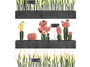 cactus set wall decor vertical garden 45 Modelo 3D