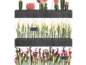 cactus set wall decor vertical garden 45 Modelo 3D