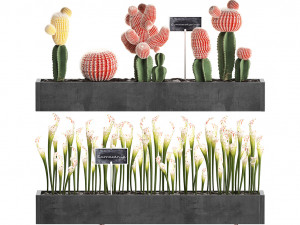 cactus set wall decor vertical garden 45 Modelo 3D