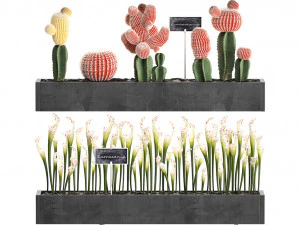 cactus set wall decor vertical garden 45 3D Model