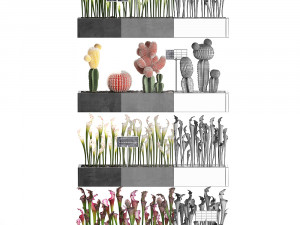cactus set wall decor vertical garden 45 Modelo 3D