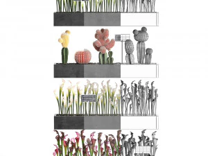 cactus set wall decor vertical garden 45 3D Model