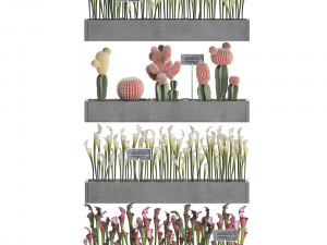 cactus set wall decor vertical garden 45 Modelo 3D