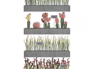 cactus set wall decor vertical garden 45 3D Model