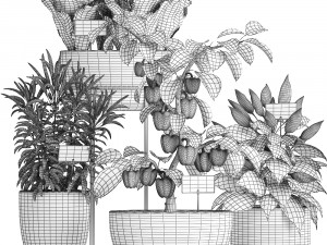 decorative plants for the kitchen 387 pepper Modelo 3D