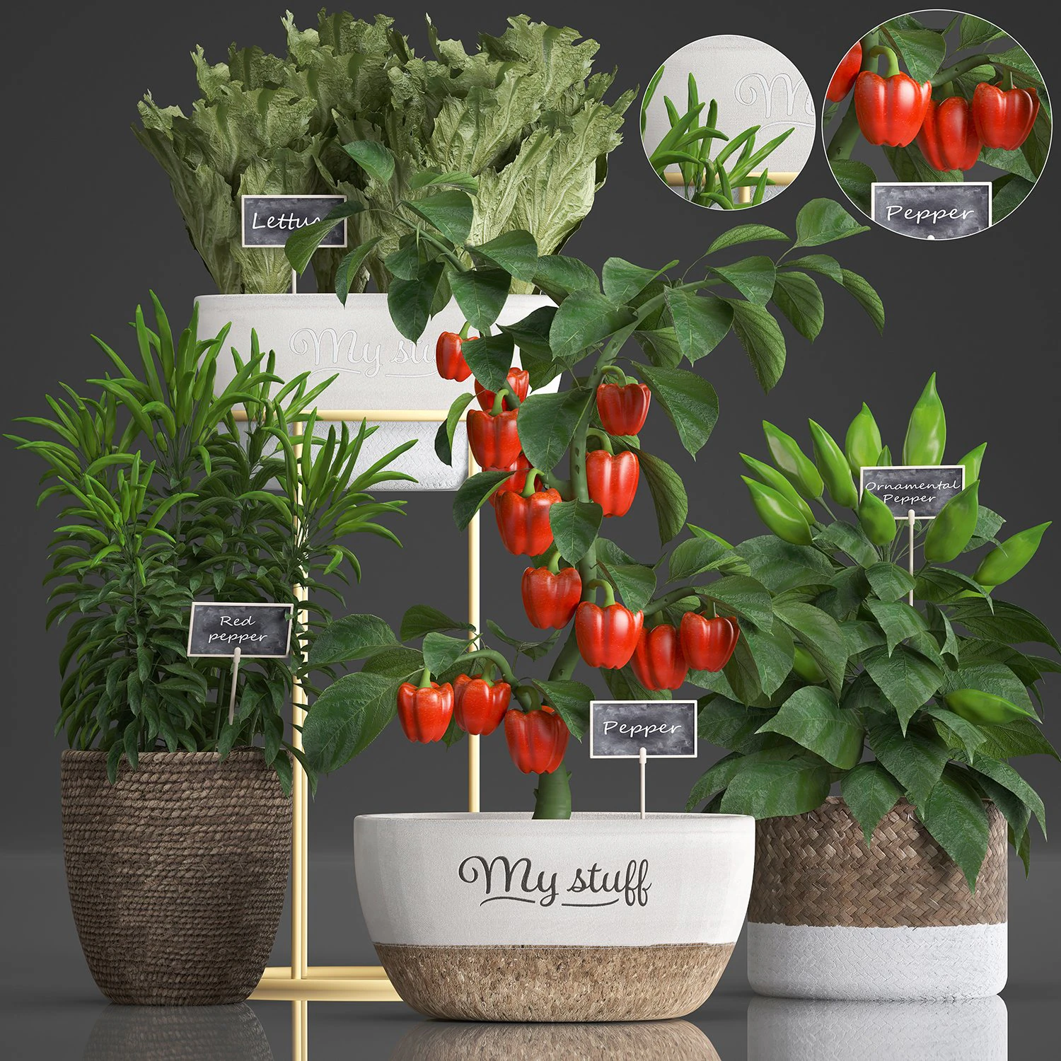 decorative plants for the kitchen 388 pepper 3D Model .c4d .max .obj .3ds .fbx .stl .blend 