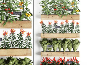 tanaman hias untuk dapur pada kotak kayu 45 Model 3D