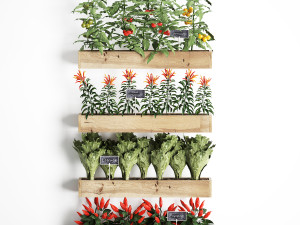 decorative plants for the kitchen on wooden box 45 3D Модель
