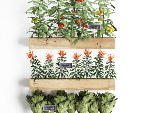 decorative plants for the kitchen on wooden box 45 3D Модель