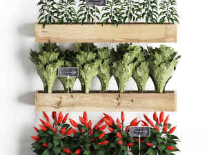 decorative plants for the kitchen on wooden box 45 3D Модель