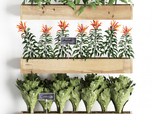 decorative plants for the kitchen on wooden box 45 3D Модель