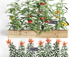 decorative plants for the kitchen on wooden box 45 3D Модель