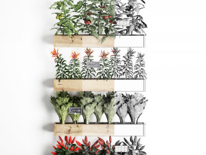 decorative plants for the kitchen on wooden box 45 3D Модель