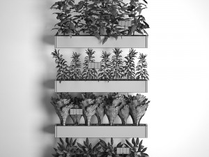 decorative plants for the kitchen on wooden box 45 3D Модель