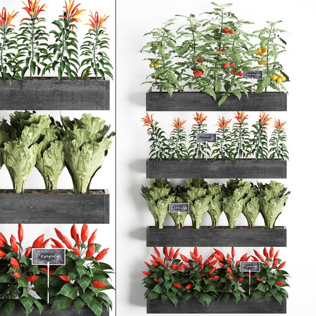 decorative plants for the kitchen on wooden box 47 Modelo 3D .c4d .max .obj .3ds .fbx .stl .blend 