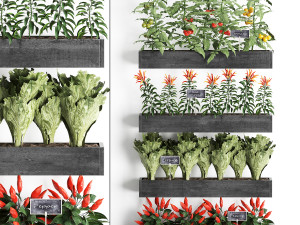 decorative plants for the kitchen on wooden box 47 3Dモデル
