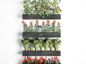 decorative plants for the kitchen on wooden box 47 Modelo 3D