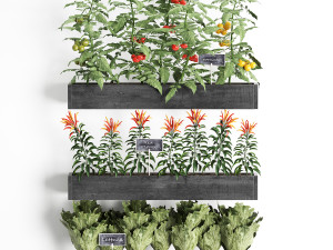 decorative plants for the kitchen on wooden box 47 Modelo 3D