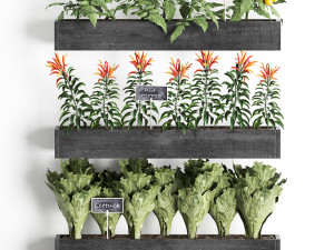 decorative plants for the kitchen on wooden box 47 Modelo 3D