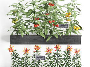 decorative plants for the kitchen on wooden box 47 Modelo 3D