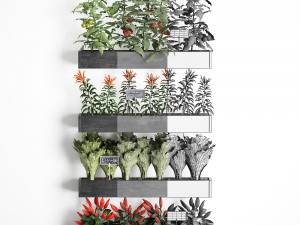decorative plants for the kitchen on wooden box 47 Modelo 3D