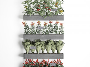 decorative plants for the kitchen on wooden box 47 Modelo 3D