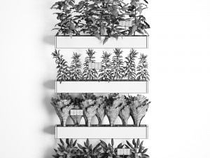decorative plants for the kitchen on wooden box 47 Modelo 3D