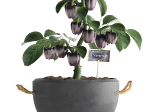 decorative pepper 389 3D Model