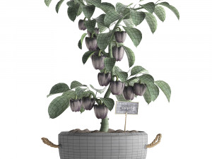 decorative pepper 389 Modelo 3D