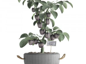 decorative pepper 389 3D Model