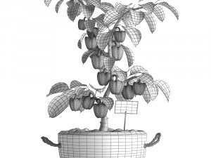 decorative pepper 389 3D Model
