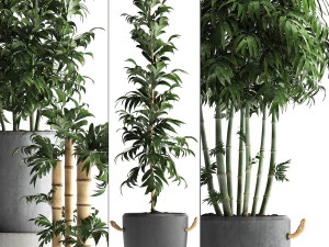 collection of exotic bamboo plants 390 3D Model