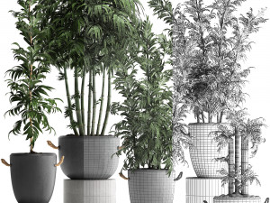 collection of exotic bamboo plants 390 3Dモデル