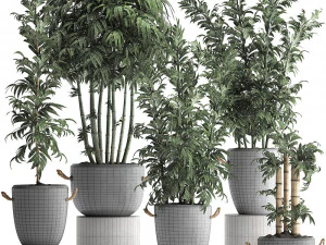 collection of exotic bamboo plants 390 3D Model