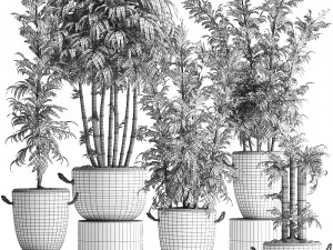collection of exotic bamboo plants 390 3D Model
