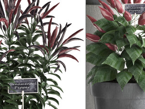 decorative plants for the kitchen 391 3D Model