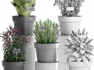 decorative plants for the kitchen 391 3D Model