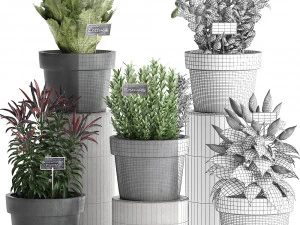 decorative plants for the kitchen 391 3D Model